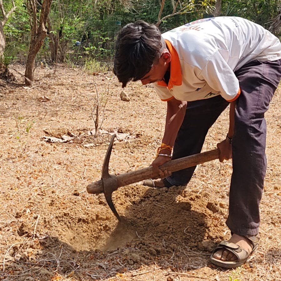 Planting for the Future – NSS Tree Plantation Drive