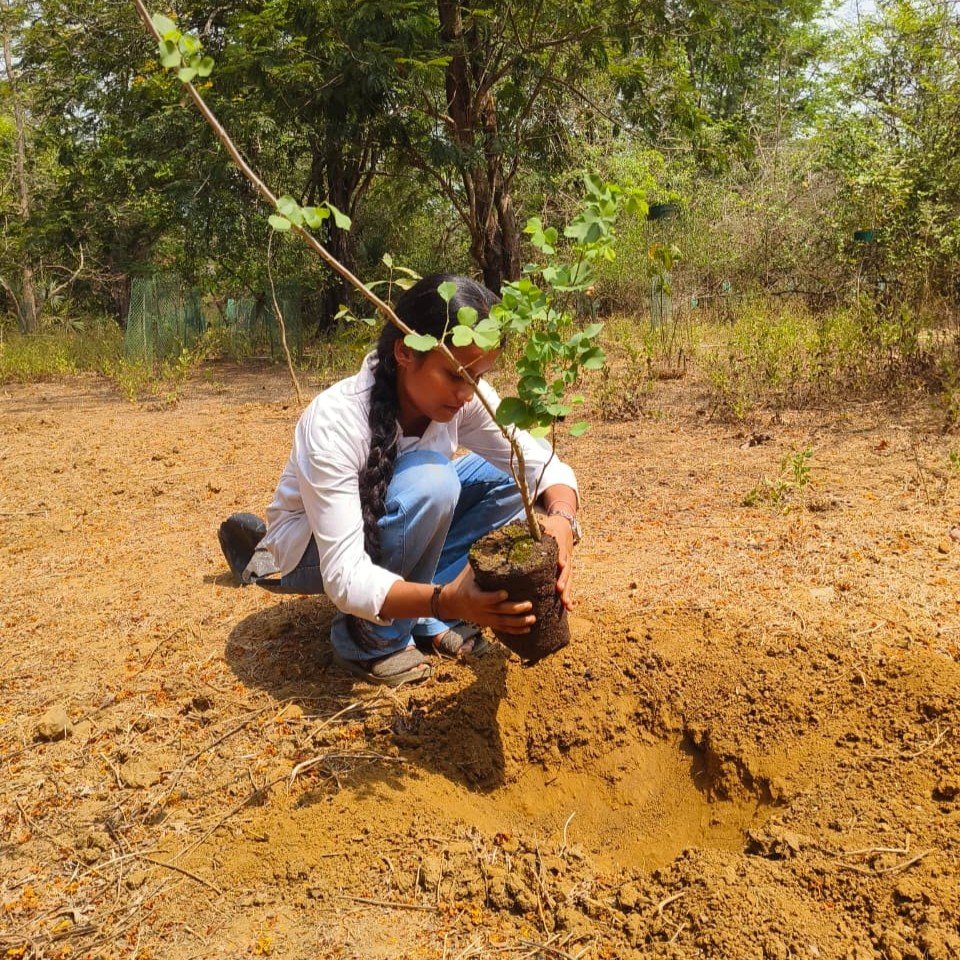 Planting for the Future – NSS Tree Plantation Drive