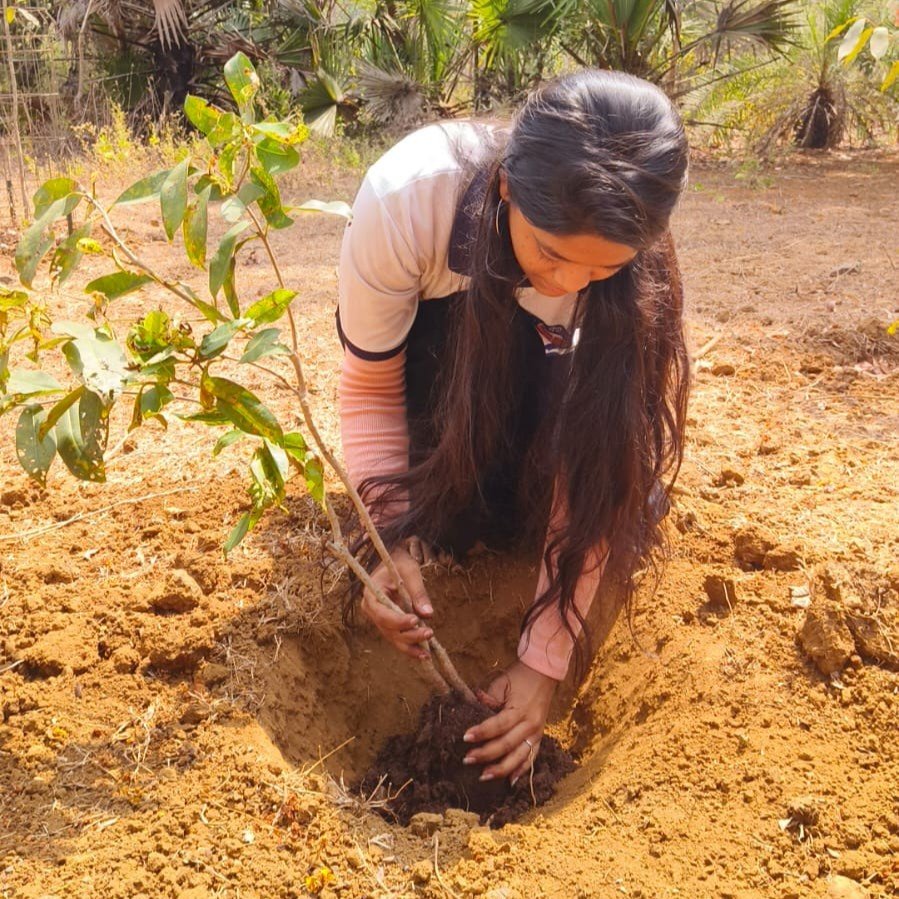 Planting for the Future – NSS Tree Plantation Drive