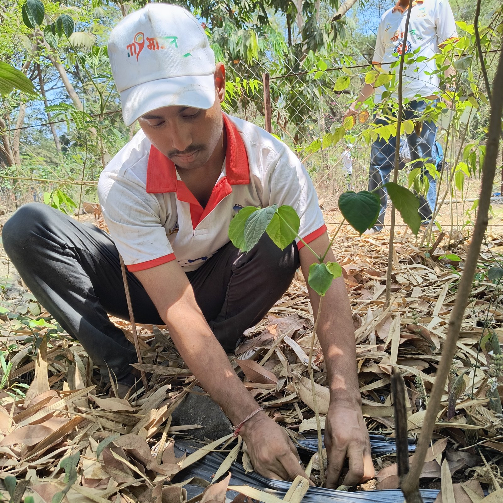 Tree Plantation-SRPF CAMP (Jogeshwari)