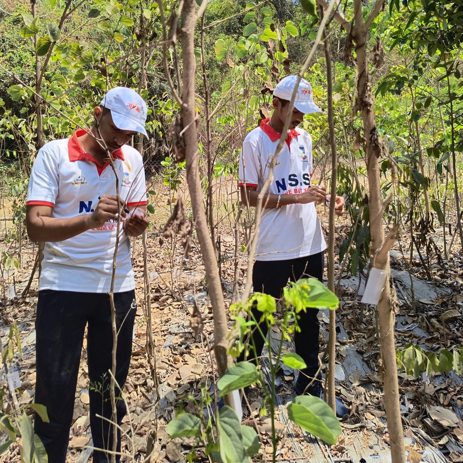 Tree Plantation-SRPF CAMP (Jogeshwari)