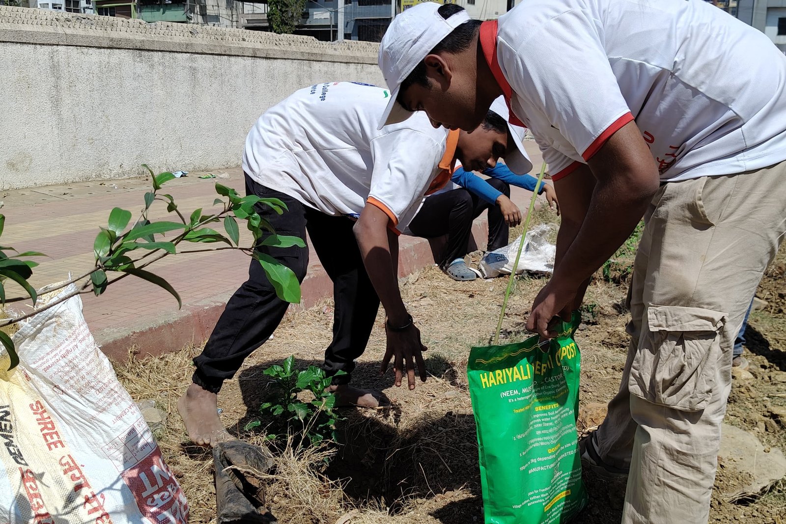 Tree plantation Drive- Malvani